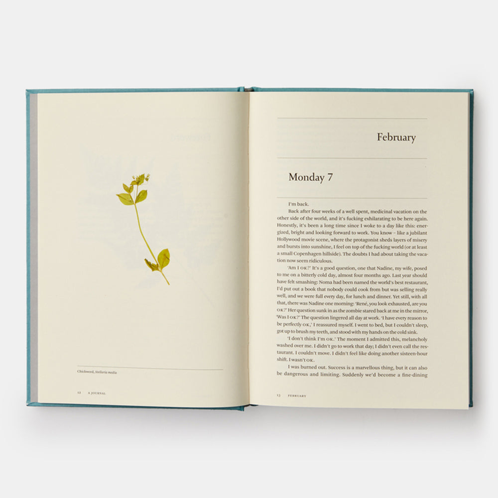 A Work in Progress: A Journal