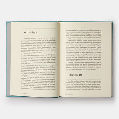 A Work in Progress: A Journal