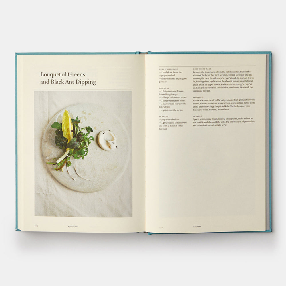 A Work in Progress: A Journal