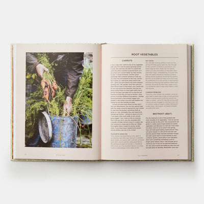 Grow Fruit & Vegetables in Pots: Planting Advice & Recipes from Great Dixter