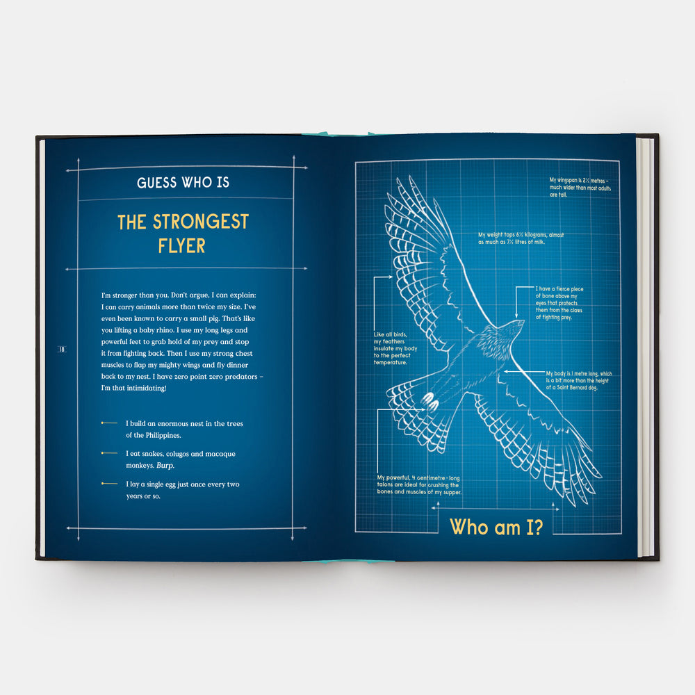 Book of Flight: 10 Record-Breaking Animals with Wings