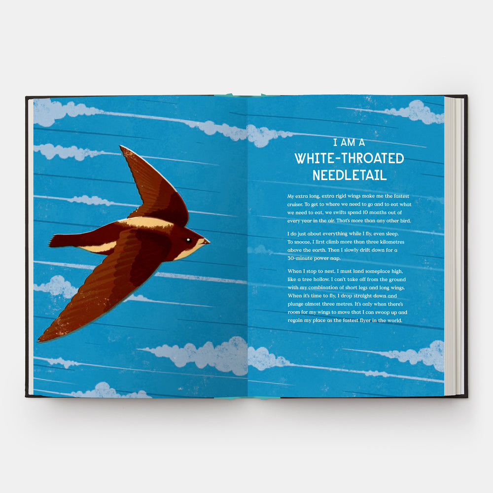 Book of Flight: 10 Record-Breaking Animals with Wings
