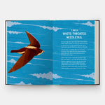 Book of Flight: 10 Record-Breaking Animals with Wings