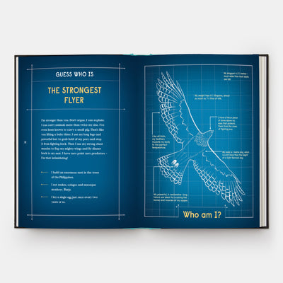 Book of Flight: 10 Record-Breaking Animals with Wings