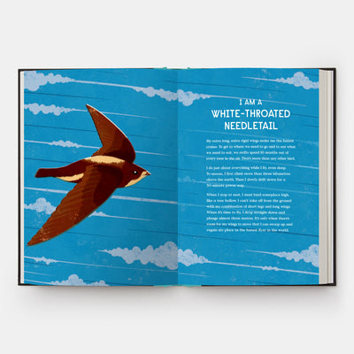 Book of Flight: 10 Record-Breaking Animals with Wings