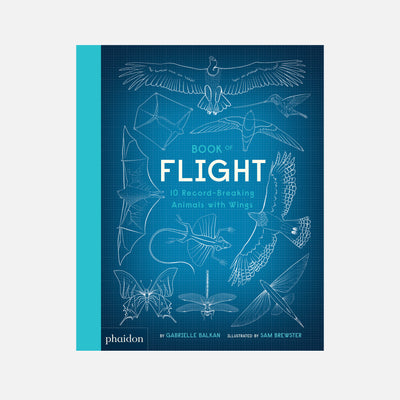 Book of Flight: 10 Record-Breaking Animals with Wings