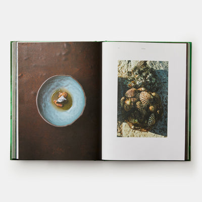 Ana Ros: Sun and Rain