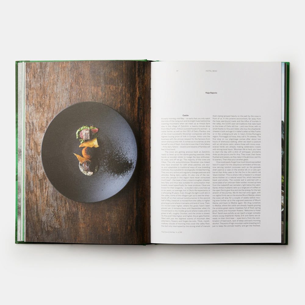 Ana Ros: Sun and Rain