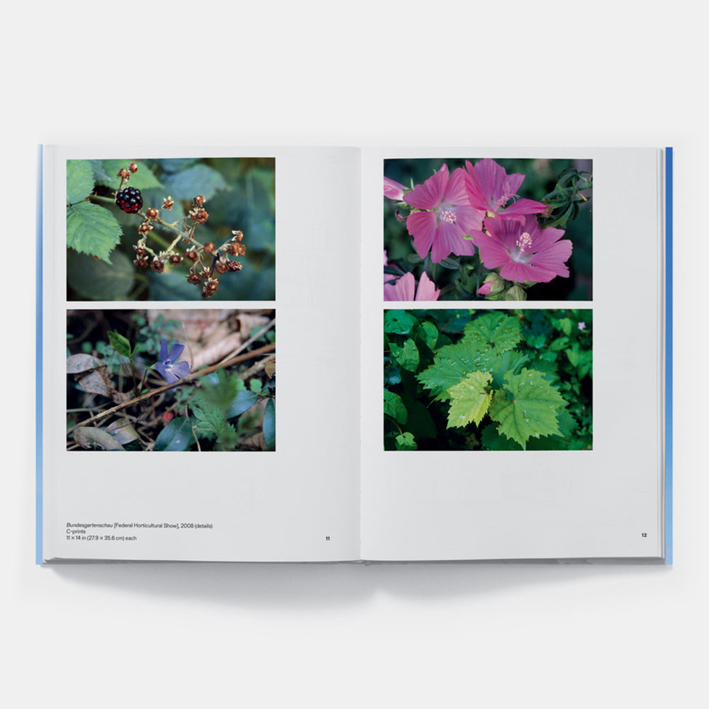 Hans Haacke: All Connected