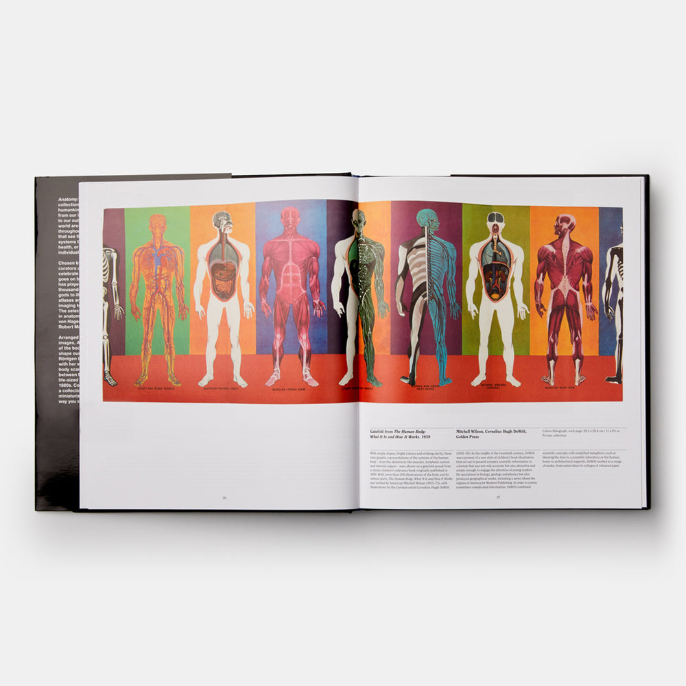 Anatomy: Exploring the Human Body