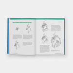 How to Draw Manga Animals