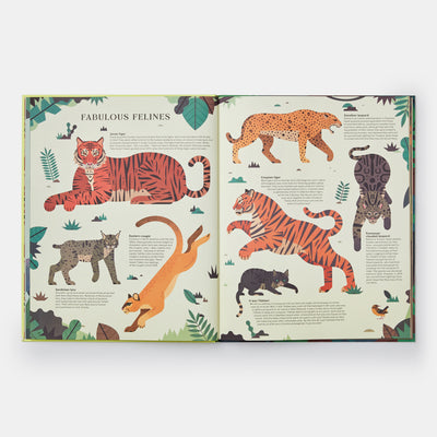 Extinct: An Illustrated Exploration of Animals That Have Disappeared