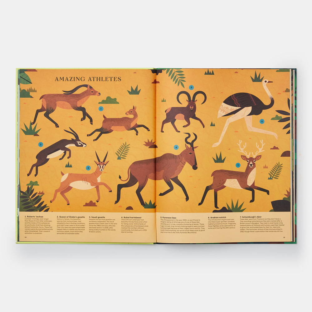 Extinct: An Illustrated Exploration of Animals That Have Disappeared