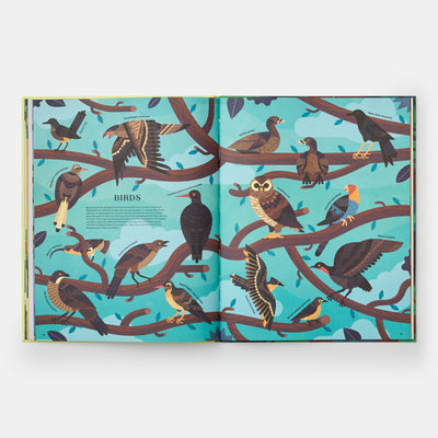 Extinct: An Illustrated Exploration of Animals That Have Disappeared