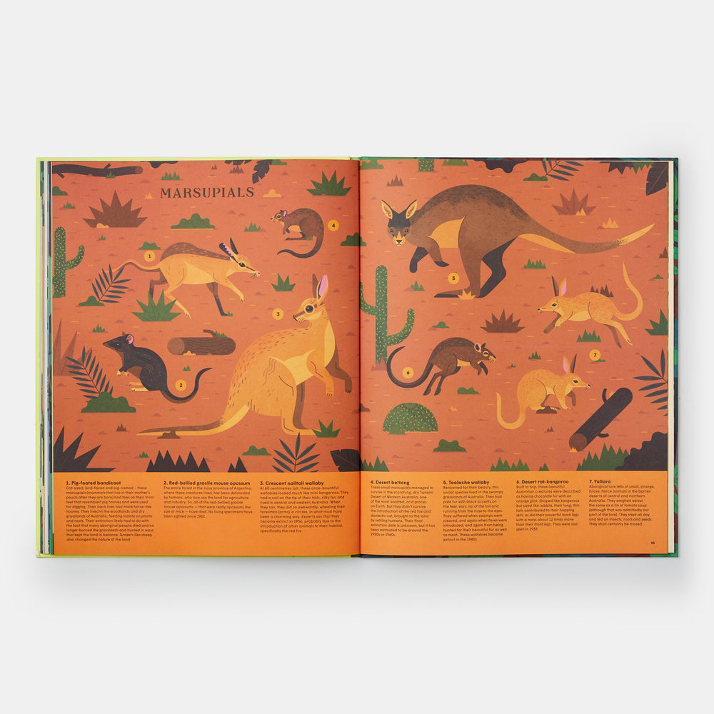 Extinct: An Illustrated Exploration of Animals That Have Disappeared