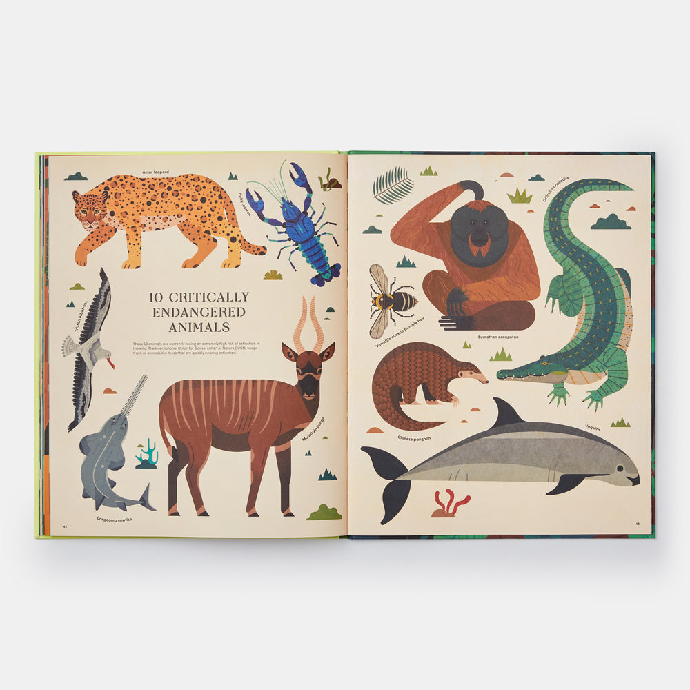 Extinct: An Illustrated Exploration of Animals That Have Disappeared