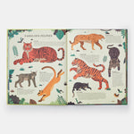 Extinct: An Illustrated Exploration of Animals That Have Disappeared