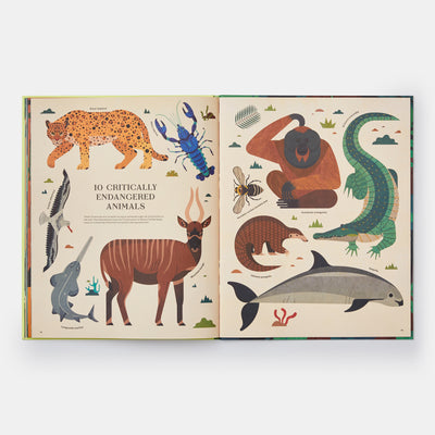 Extinct: An Illustrated Exploration of Animals That Have Disappeared