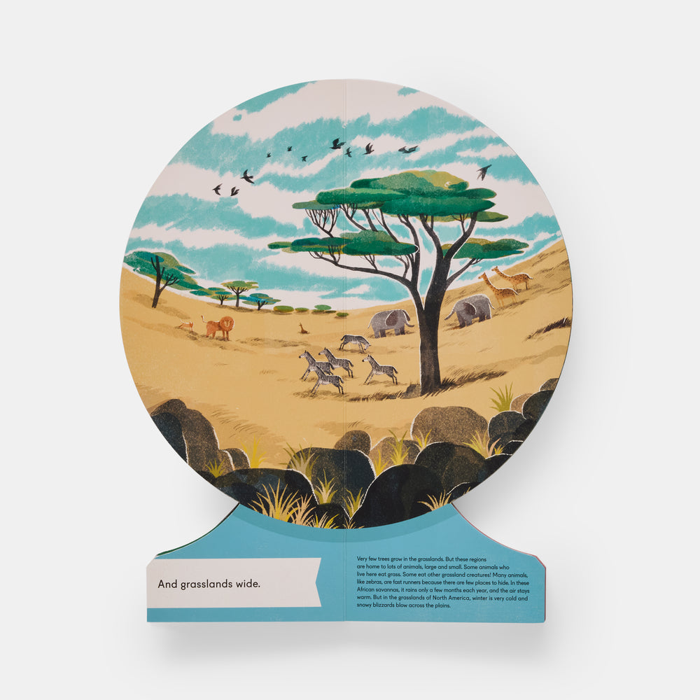 Our World: A First Book of Geography