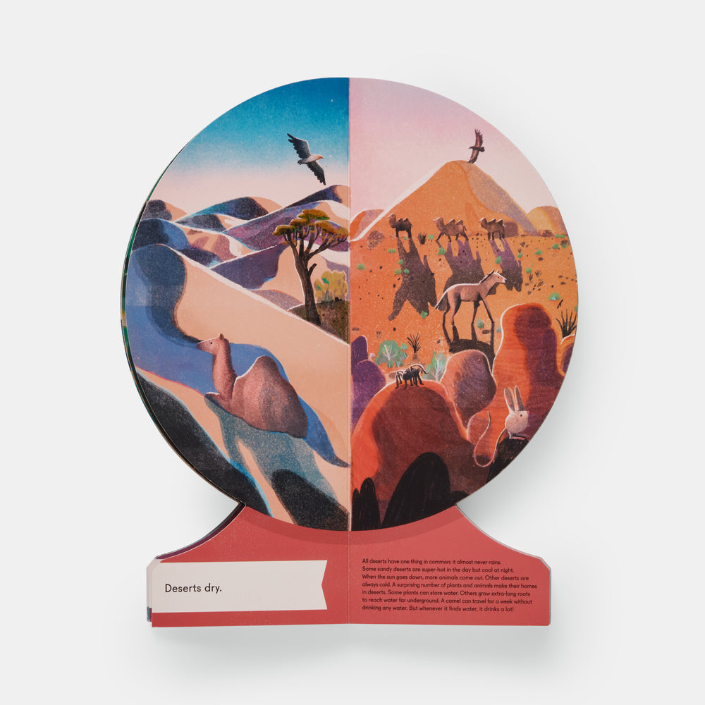 Our World: A First Book of Geography