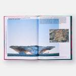 Radical Architecture of the Future