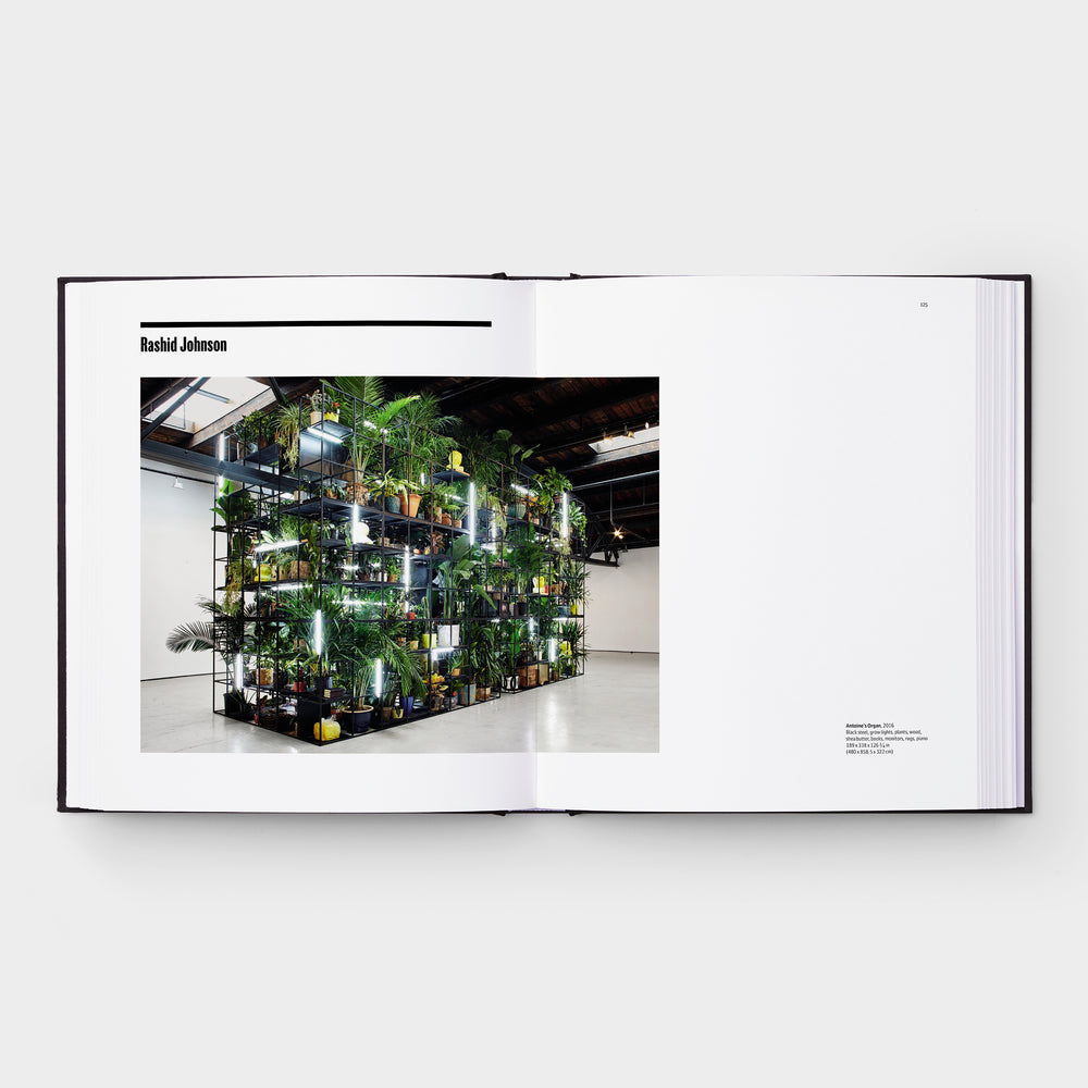 Grief and Grievance: Art and Mourning in America