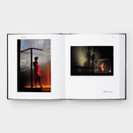 Grief and Grievance: Art and Mourning in America