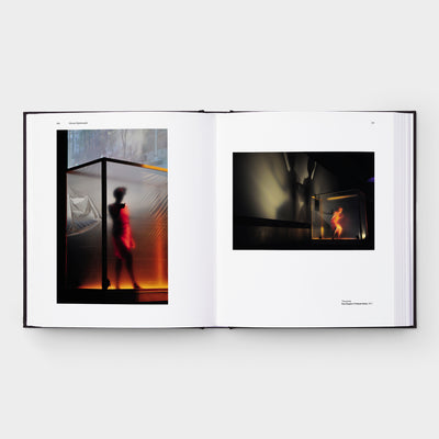 Grief and Grievance: Art and Mourning in America