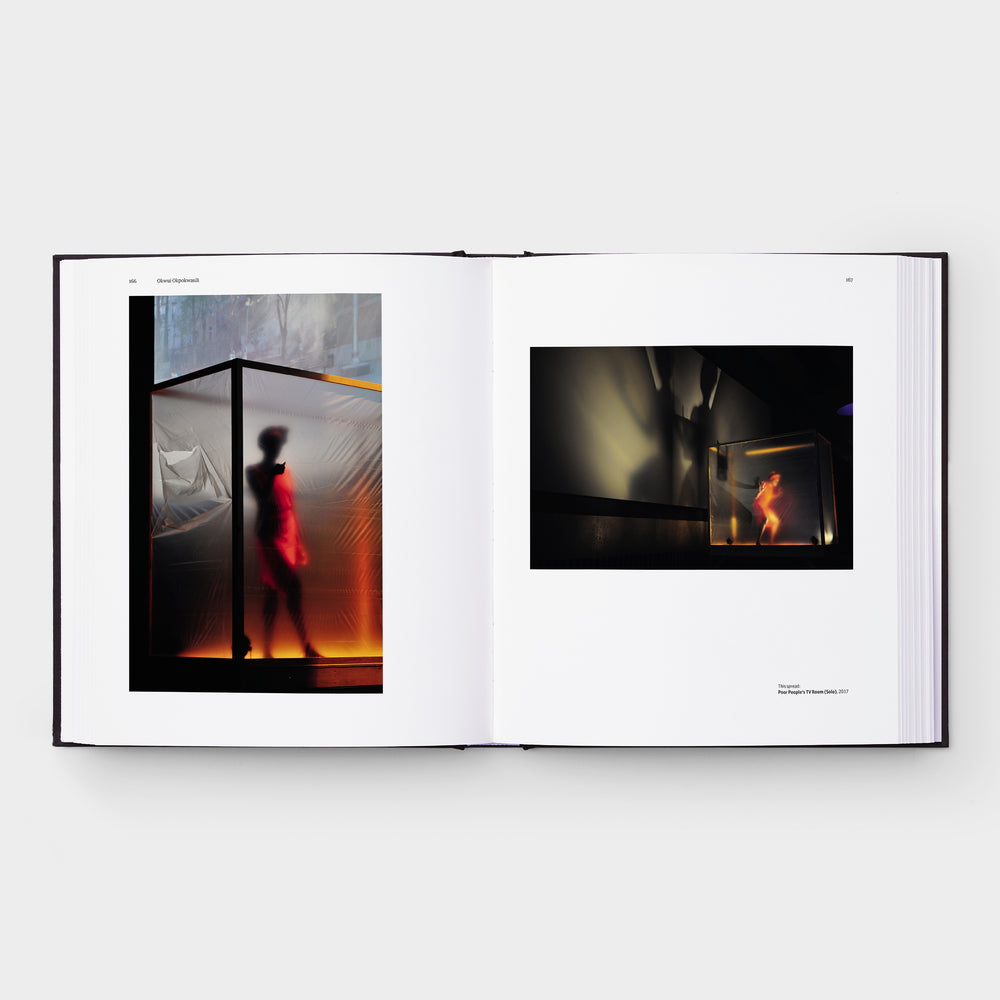 Grief and Grievance: Art and Mourning in America