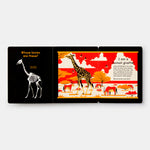 Whose Bones?: An Animal Guessing Game