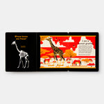 Whose Bones?: An Animal Guessing Game