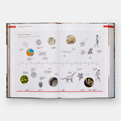 The Origins of Cooking: Palaeolithic and Neolithic Cooking