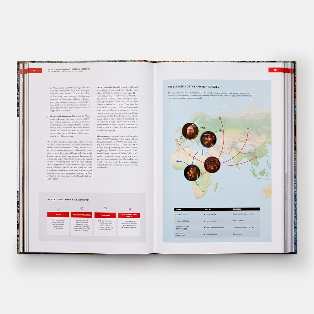 The Origins of Cooking: Palaeolithic and Neolithic Cooking