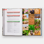 The Origins of Cooking: Palaeolithic and Neolithic Cooking