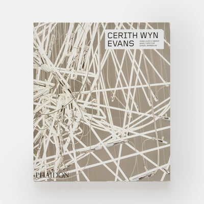 Cerith Wyn Evans