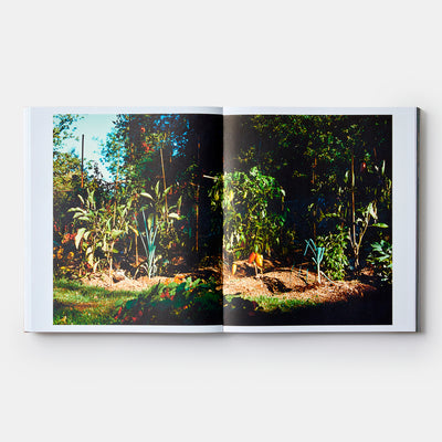 Septime: La Cave, Clamato, D'une île