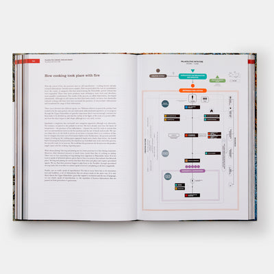 The Origins of Cooking: Palaeolithic and Neolithic Cooking