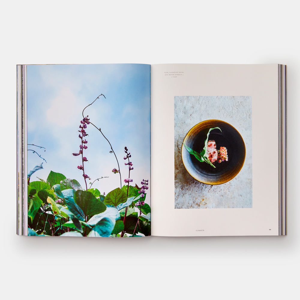 monk: Light and Shadow on the Philosopher's Path