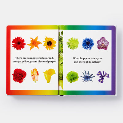Rainbows in Bloom: Discovering Colors with Flowers