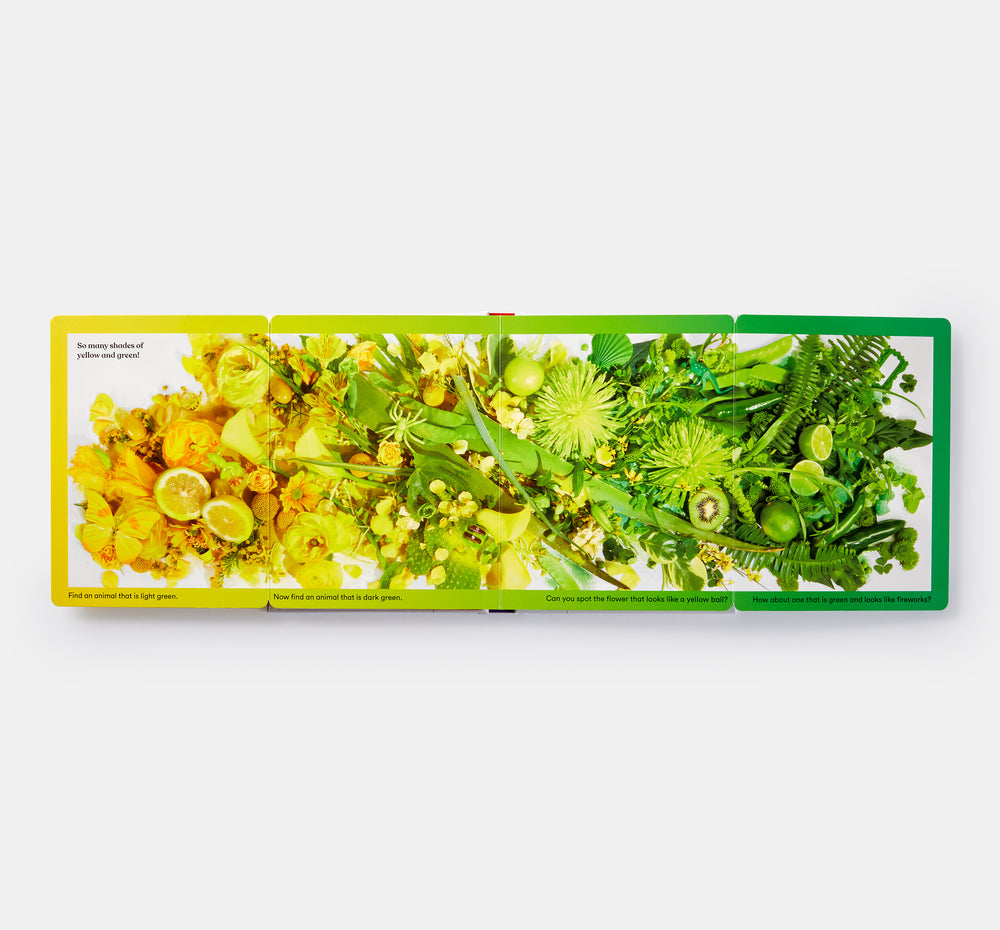 Rainbows in Bloom: Discovering Colors with Flowers