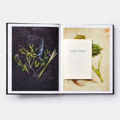 Slippurinn: Recipes and Stories from Iceland