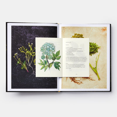 Slippurinn: Recipes and Stories from Iceland