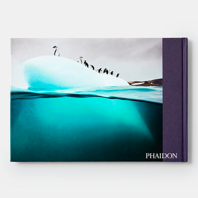 Two Worlds: Above and Below the Sea