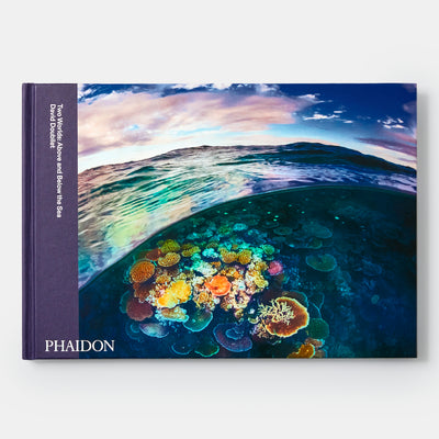 Two Worlds: Above and Below the Sea