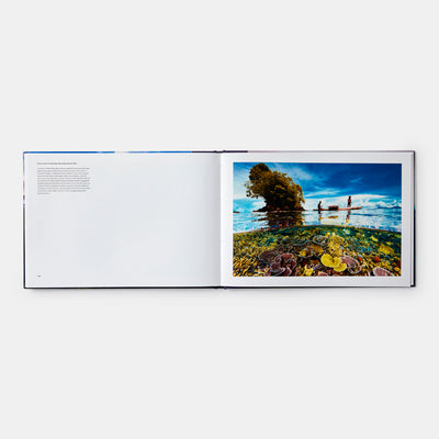 Two Worlds: Above and Below the Sea