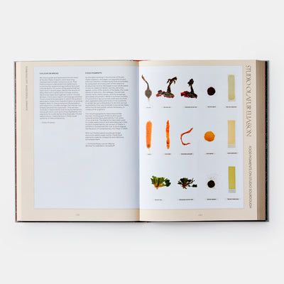 The Kitchen Studio: Culinary Creations by Artists