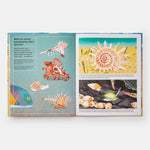 What A Shell Can Tell