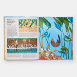 What A Shell Can Tell