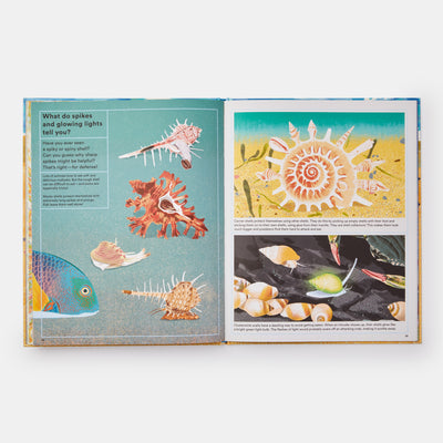 What A Shell Can Tell