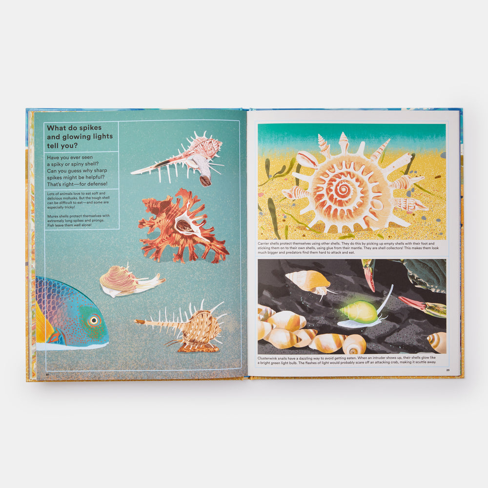 What A Shell Can Tell